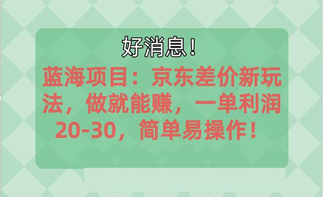 越早知道越能赚到钱的蓝海项目：京东大平台操作，一单利润20-30，简单...-选优云网创