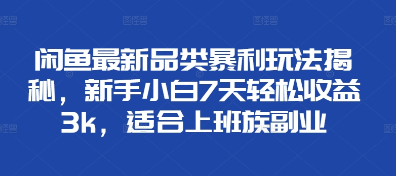 闲鱼最新品类暴利玩法揭秘，新手小白7天轻松赚3000+，适合上班族副业-选优云网创