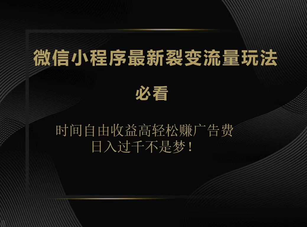 微信小程序最新裂变流量玩法，时间自由收益高轻松赚广告费，日入200-500+-选优云网创