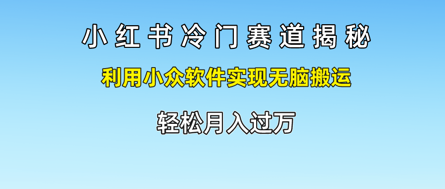 小红书冷门赛道揭秘,轻松月入过万，利用小众软件实现无脑搬运，-选优云网创