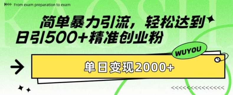 简单暴力引流轻松达到日引500+精准创业粉，单日变现2k【揭秘】-选优云网创