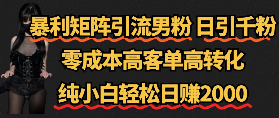 暴利矩阵引流男粉（日引千粉），零成本高客单高转化，纯小白轻松日赚2000+-选优云网创