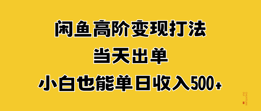 闲鱼高阶变现打法，当天出单，小白也能单日收入500+-选优云网创