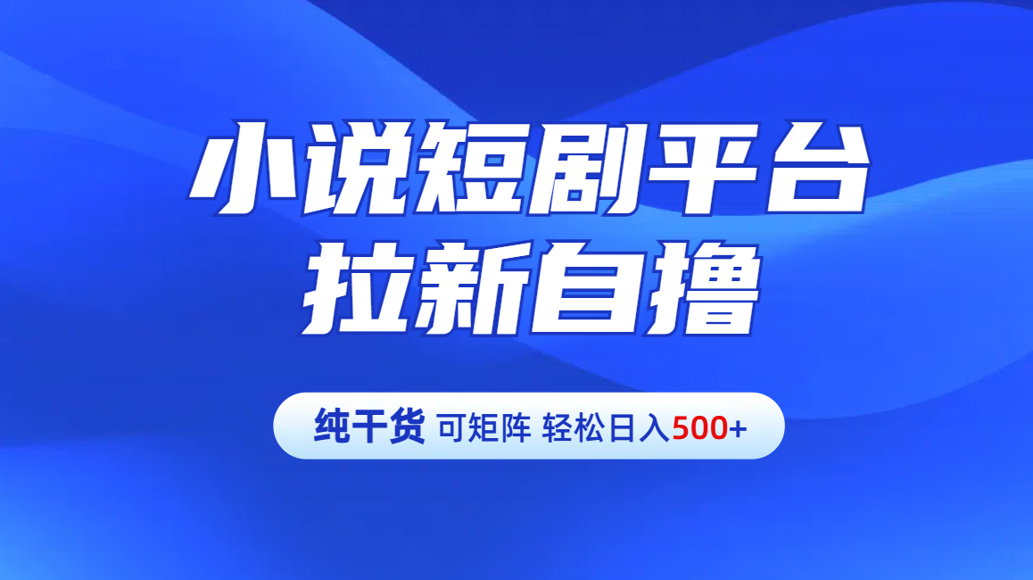 【纯干货】小说短剧平台拉新自撸玩法详解-单人轻松日入500+-选优云网创