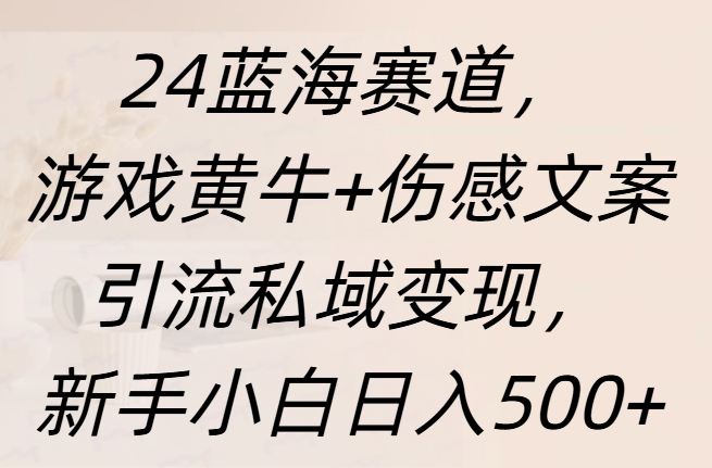 24蓝海赛道，游戏黄牛+伤感文案引流私域变现，新手日入500+-选优云网创