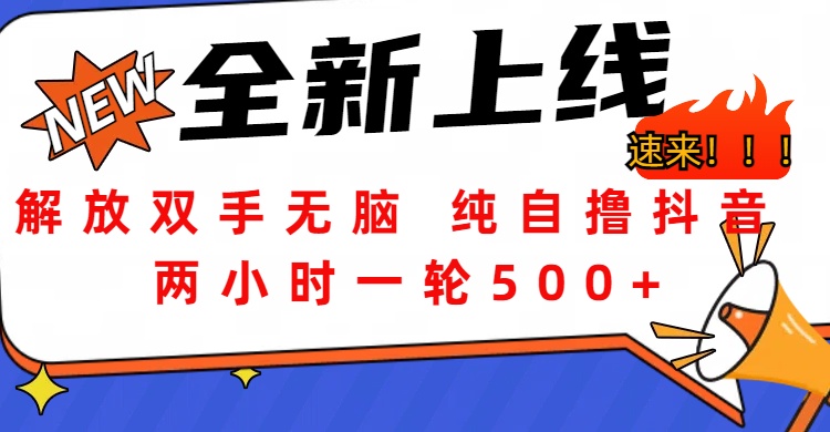 解放双手无脑 纯自撸抖音 两小时一轮500+-选优云网创