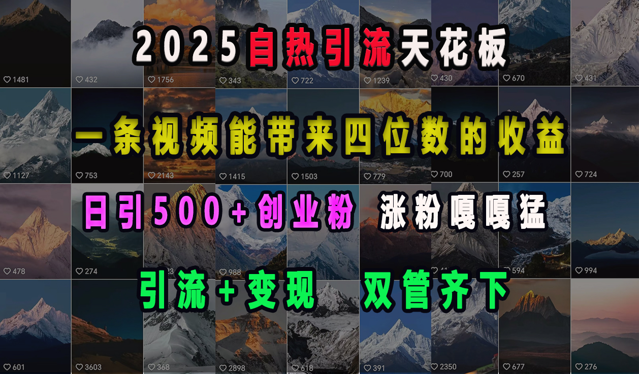 2025自热引流天花板，一条视频能带来四位数的收益，引流+变现双管齐下，日引500+创业粉，涨粉嘎嘎猛-选优云网创