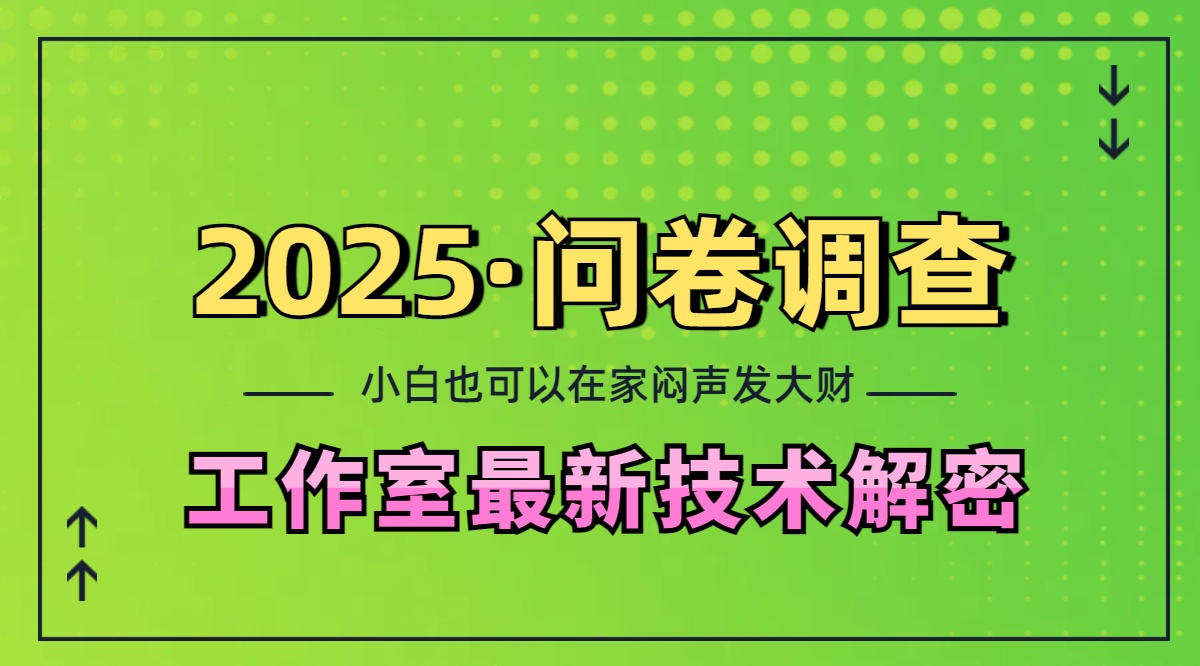 2025《问卷调查》最新工作室技术解密：一个人在家也可以闷声发大财，小白一天200+，可矩阵放大-选优云网创