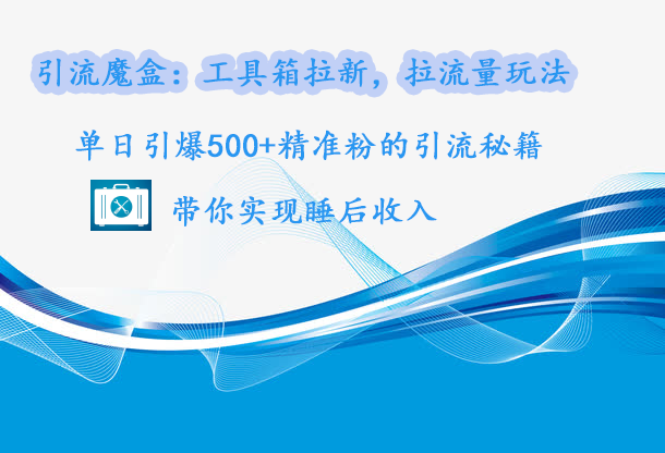 引流魔盒：工具箱拉新，拉流量玩法，单日引爆500+精准粉的引流秘籍，带你实现睡后收入-选优云网创