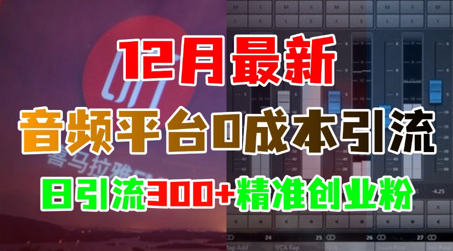 12月最新：音频平台0成本引流，日引300+精准创业粉-选优云网创