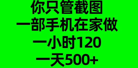 你只管截图，一部手机在家做，一小时120，一天500+-选优云网创