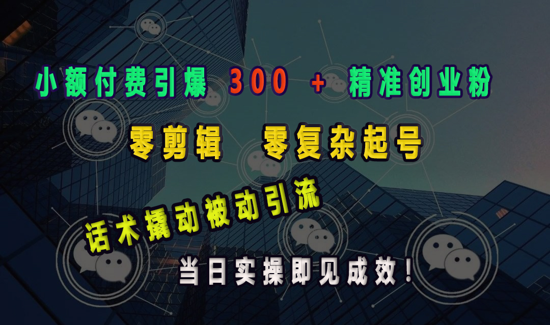 小额付费引爆 300 + 精准创业粉，零剪辑、零复杂起号，话术撬动被动引流，当日实操即见成效！-选优云网创