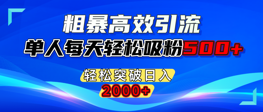 粗暴高效引流,单人每天轻松吸粉500+,轻松突破日入2000+-选优云网创